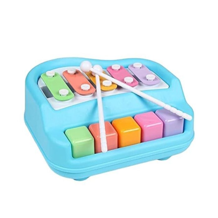 Musical Xylophone and Mini Piano