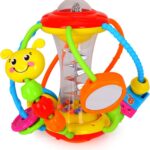 Hola Baby Rattles Activity Ball