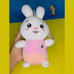 Super Soft Cute Rabbit Soft Toy