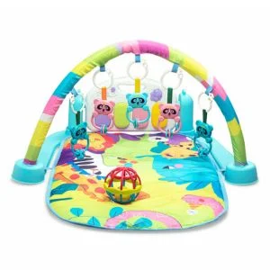 play Gym & Mats
