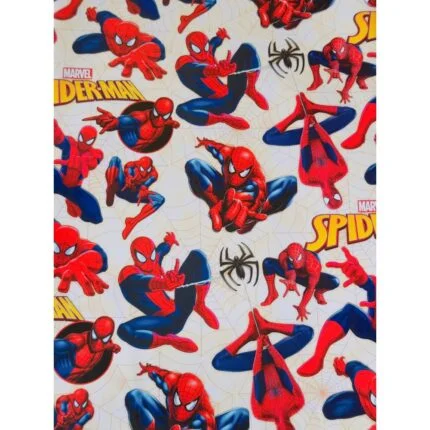 PSI Spidey and his Amazing Friends Theme Goodie Return Gift Boxes – Party  Supplies India