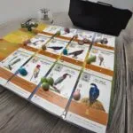 Wingspan | Bird Collection Engine-Building Strategy Board Game for Nature Lovers | 1–5 Players | Ages 10+ | 40–70 Min Playtime - Image 8