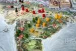 GoIndia Games Bharata 600 BC Strategy Board Game | Epic Indian Strategy Game | 2–8 Players | Age 14+ - Image 5