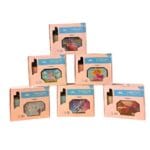 Kids Karaoke Mic Speaker Set with Wireless Mic & Lights | Rechargeable Bluetooth Speaker for Kids – Shopbefikar